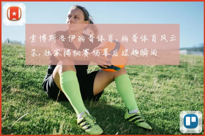 索博斯洛伊狗哥体育,狗哥体育风云录,独家揭秘赛场幕后逗趣瞬间