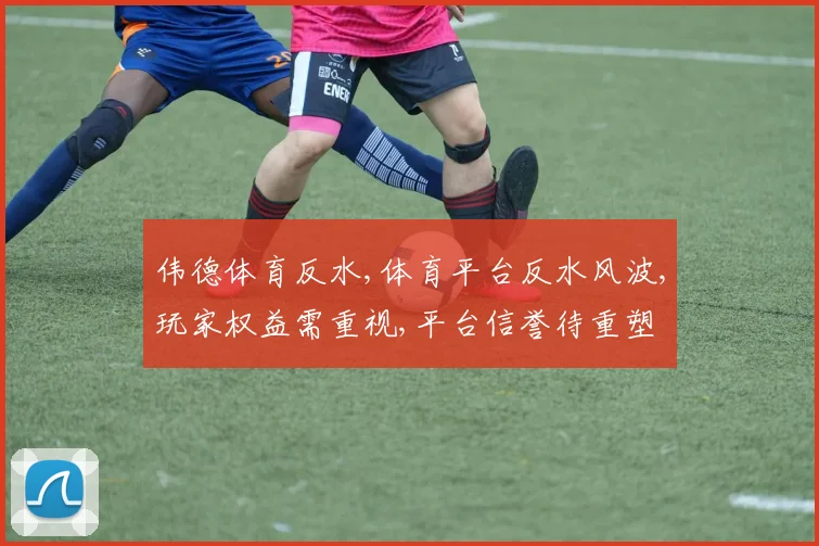 伟德体育反水,体育平台反水风波,玩家权益需重视,平台信誉待重塑