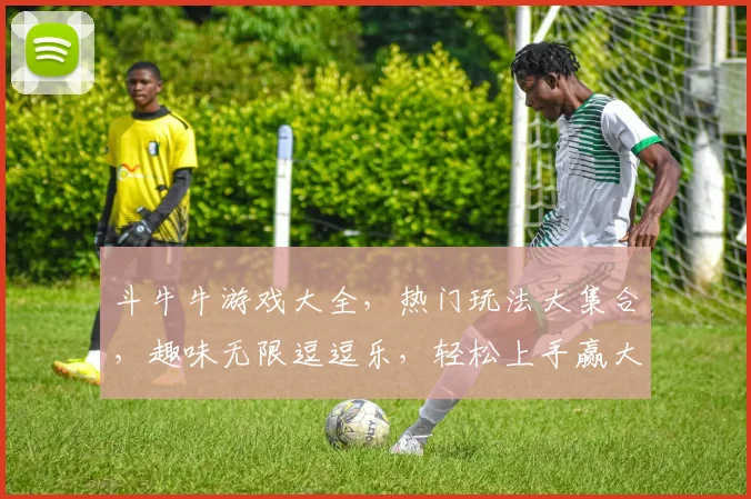 斗牛牛游戏大全，热门玩法大集合，趣味无限逗逗乐，轻松上手赢大奖，必看攻略
